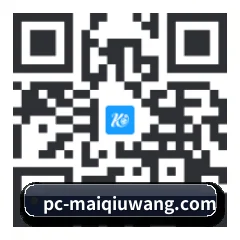 iPhone APP 二维码
